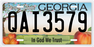 GA license plate QAI3579