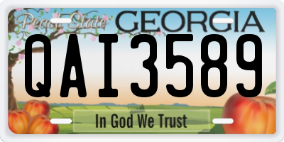 GA license plate QAI3589