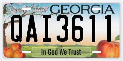 GA license plate QAI3611