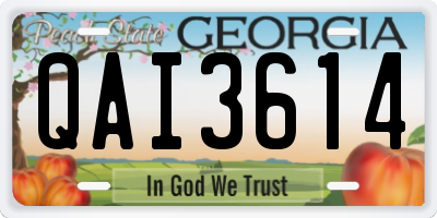 GA license plate QAI3614