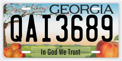 GA license plate QAI3689