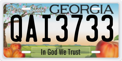 GA license plate QAI3733