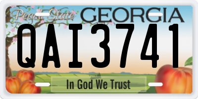 GA license plate QAI3741