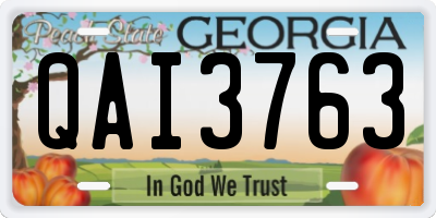 GA license plate QAI3763