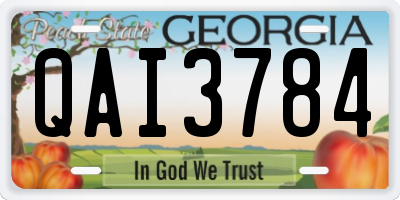 GA license plate QAI3784