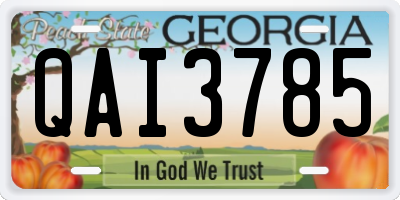 GA license plate QAI3785