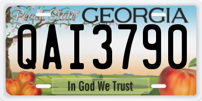 GA license plate QAI3790