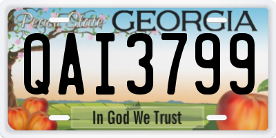 GA license plate QAI3799