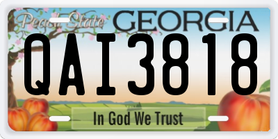 GA license plate QAI3818