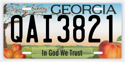 GA license plate QAI3821