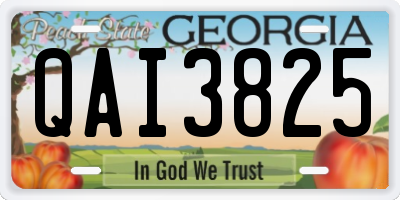 GA license plate QAI3825