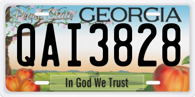 GA license plate QAI3828