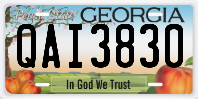 GA license plate QAI3830