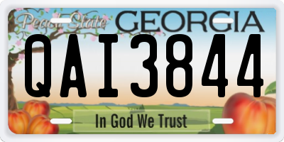 GA license plate QAI3844