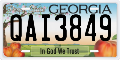 GA license plate QAI3849