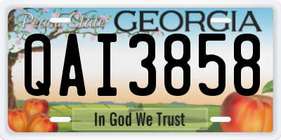 GA license plate QAI3858