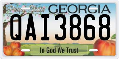 GA license plate QAI3868