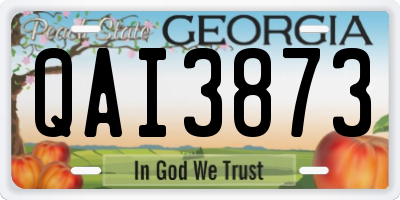 GA license plate QAI3873