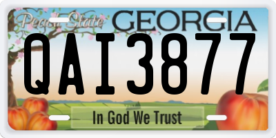 GA license plate QAI3877