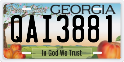 GA license plate QAI3881