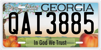 GA license plate QAI3885