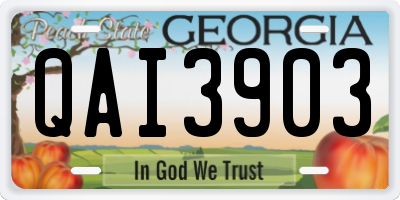 GA license plate QAI3903