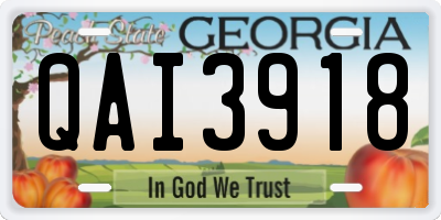 GA license plate QAI3918