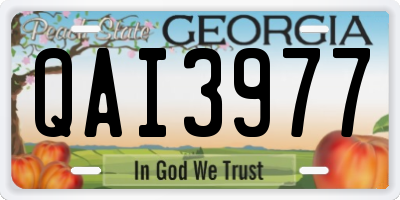 GA license plate QAI3977