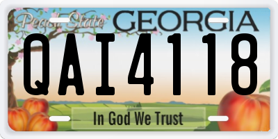 GA license plate QAI4118
