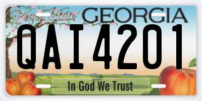 GA license plate QAI4201