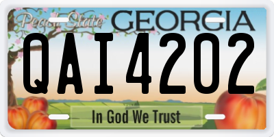 GA license plate QAI4202