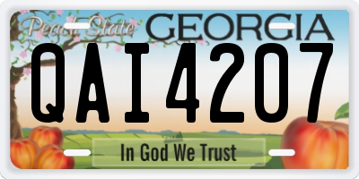GA license plate QAI4207