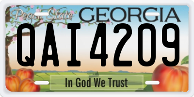 GA license plate QAI4209