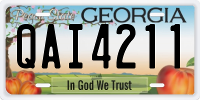 GA license plate QAI4211