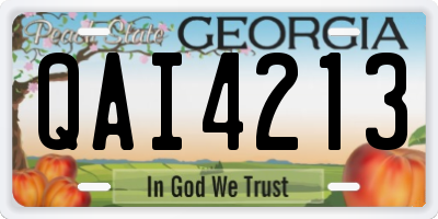 GA license plate QAI4213