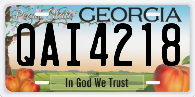 GA license plate QAI4218