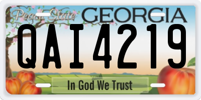 GA license plate QAI4219