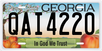 GA license plate QAI4220