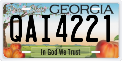 GA license plate QAI4221
