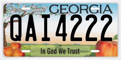 GA license plate QAI4222