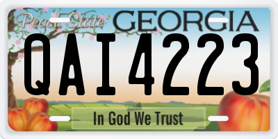 GA license plate QAI4223