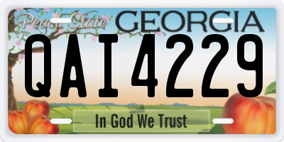 GA license plate QAI4229