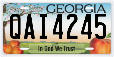 GA license plate QAI4245