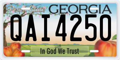 GA license plate QAI4250