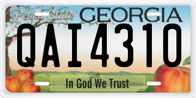 GA license plate QAI4310