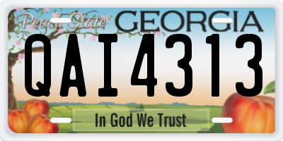 GA license plate QAI4313