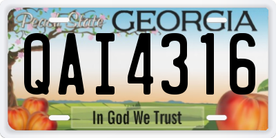 GA license plate QAI4316