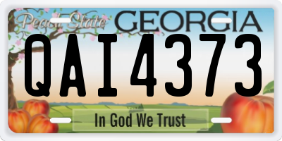 GA license plate QAI4373