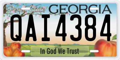 GA license plate QAI4384