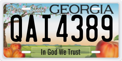 GA license plate QAI4389